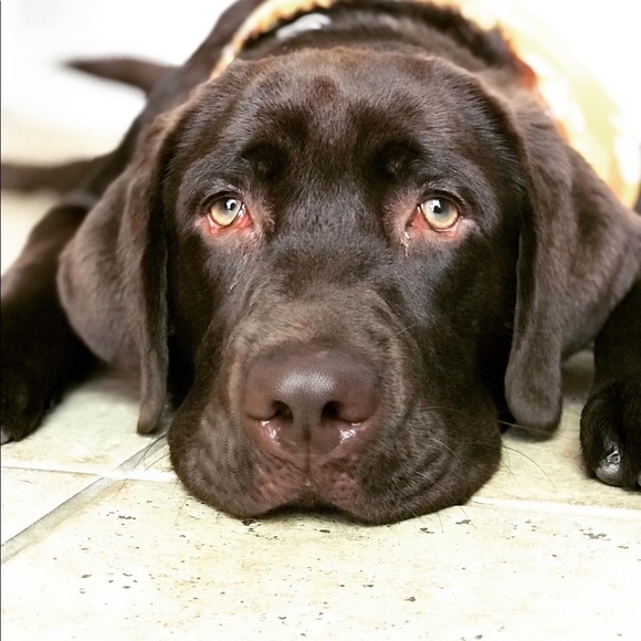 Meet your Posher, Jennifer - Picture 2 of 2